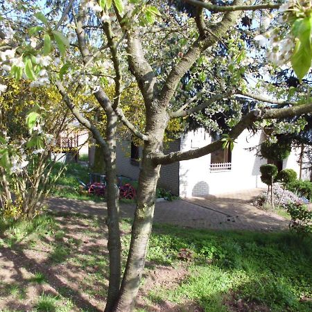 노르드하우젠 Ferienhaus Santo 빌라 외부 사진