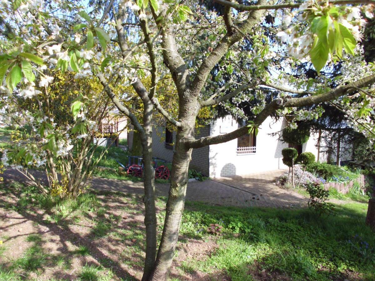 노르드하우젠 Ferienhaus Santo 빌라 외부 사진